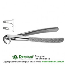 English Pattern Tooth Extracting Forcep (Child) Fig. 162 (For Lower Anteriors and Roots) Stainless Steel, Standard